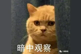 女子带着金首饰，还有28万现金流浪！当地民政局回应图片