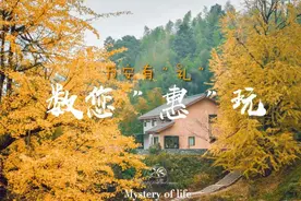 十一黄金周，万安＂礼＂遇有您，数您＂惠＂玩图片