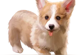 疾控话健康|关于狂犬病，你不得不知道的那些事图片