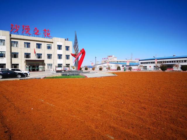 沙棘果成增收“黄金果”