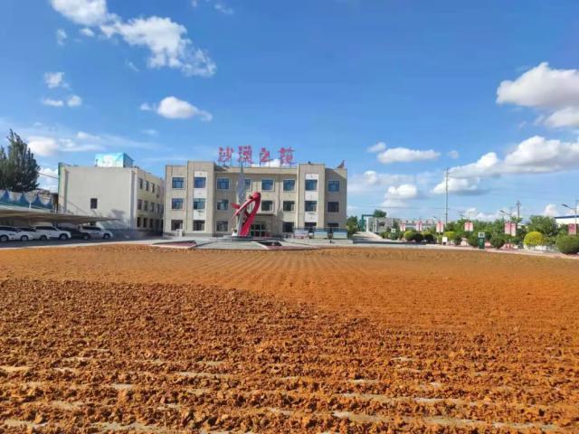 沙棘果成增收“黄金果”