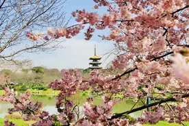 这些中文千万不要用英语直译，老外根本看不懂图片