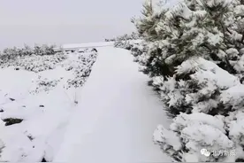 没看错！内蒙古这里下大雪了…图片