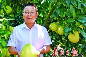 子承父业留深山 匠心种出“致富果”图片