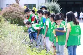 打开五感自主探索——辰山植物园“小植物学家”为植物命名图片