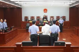 上海金沙江路车祸致5死7伤案宣判，63岁肇事者一审获死刑视频封面