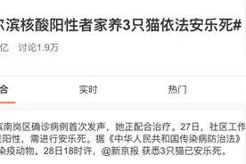三只猫咪因感染新冠被安乐死，这事儿到底应不应该？图片