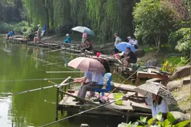 收获满满！上城区有场老年人钓鱼比赛，只要参赛，人人都能拿五斤大鱼图片