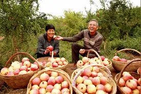 第四届中国农民电影节：丰收滋味如此美妙图片