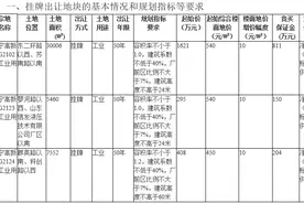 总起始价2.3亿元，济宁高新区挂牌出让三宗工业用地图片