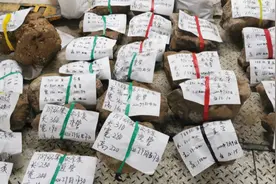 “万里黄河第一隧”施工期间盾构机卡泵346次 建设者克服困难勇往直前图片