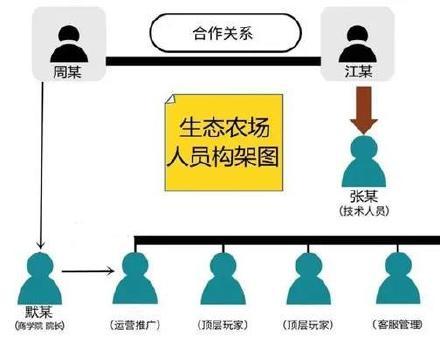 团伙开发网络游戏搞“养鱼”传销，不到2个月骗了几万人，累计“订单”超4亿多元
