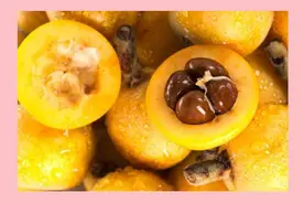 减肥科普：想要变瘦，但是不想节食！有哪些适合减脂期吃的食物？图片