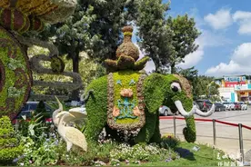 国庆期间，昆明几大公园玩场多，总有一款你喜欢图片