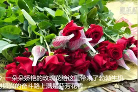 玫瑰芬芳洒满乡村振兴奋斗路视频封面