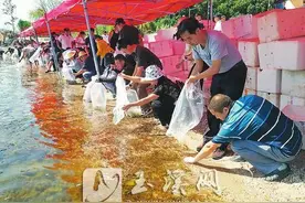 深度报道｜为野生动物撑起“保护伞”——玉溪市生物多样性保护纪实图片