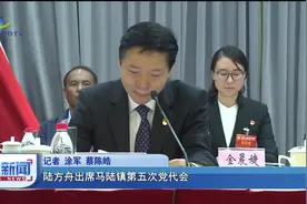 陆方舟出席马陆镇第五次党代会视频封面