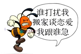 10天内上百人中招！被蜂蛰了怎么办？中医院里有良方！图片