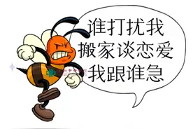 10天内上百人中招！被蜂蛰了怎么办？中医院里有良方！图片
