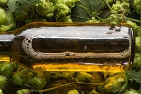 黑、红、白、黄……各色啤酒到底有什么区别？图片