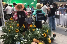 亚洲规模最大，正大崇明蛋鸡场的头窝鸡蛋来了！还有大米、郁金香……大波崇明农产品国庆上市图片