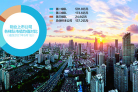 规模鏖战加剧行业分化 TOP5物企市值占比超五成图片