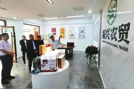 盯着乡村振兴的未来出发——省税务局调研组在社旗县大冯营镇调研侧记图片
