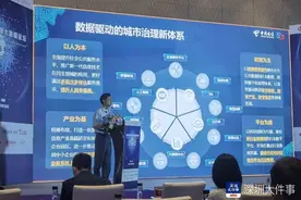 学界专家助阵，深港联手探索大湾区数字城市建设图片