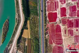 新疆博湖的辣椒红了 百姓的日子火了图片