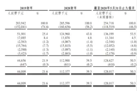 新高迪集团港股IPO：运营广西外国语学院，中金为独家保荐人图片