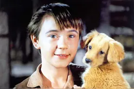 童星汤米·柯克逝世享年79岁 曾出演迪士尼电影图片