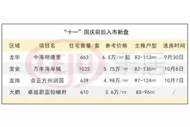 “十一”黄金周：深圳26个项目售楼处开放，还有万丰海岸城入市图片