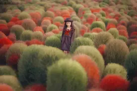 上海居然有座“毛球王国”！面积比去年更大！还能把圆滚滚的它带回家！你心动了吗？图片