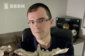 大长腿小短手！巴西发掘白垩纪末期未知肉食恐龙图片
