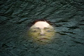 艺术家在西班牙一地市中心河中安置漂浮的面部雕塑：呼吁关注气候变化图片