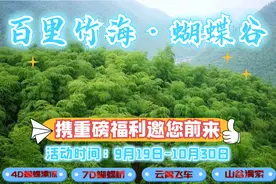 梁平百里竹海·蝴蝶谷携重磅福利邀您前来！极限滑草、空中漂流、云霄飞车……您想玩的全都有图片