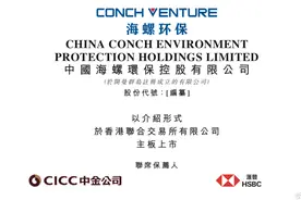 工业固危废处置商海螺环保IPO，收入均来自国内市场图片