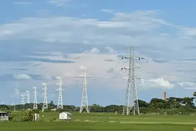 中国电建福建公司海外一项目送出线路工程全线铁塔组立图片
