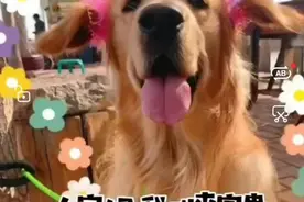 爱心接力！悬赏5000元，哈尔滨全城寻找“李富贵”图片