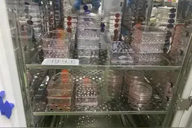 对话｜自制药救儿的父亲徐伟：翻译国外论文制药，最大困难是孤独图片