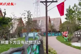 住店就能摸小动物？南通一酒店服务项目引争议图片