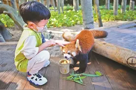人与动物和谐处 沉浸体验生态美图片