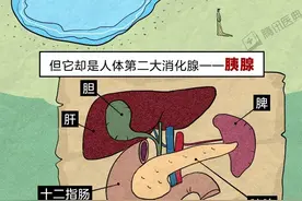 多喝一口酒，多吃一口肉，身体要付出怎样的代价？图片