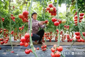 建行山东省分行多措并举，为山东经济社会发展贡献金融力量图片