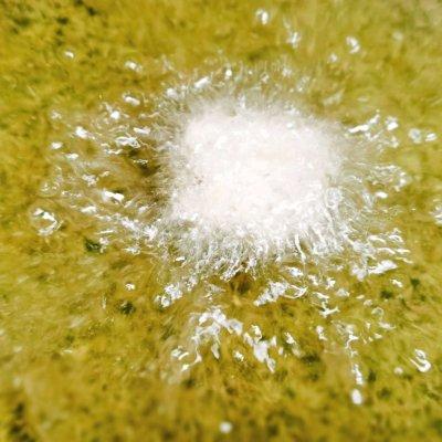 干鱼翅怎么做好吃又简单方便 2025年干鱼翅的家常做法