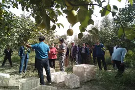 阿瓦提乡喀拉亚尕奇村开展“学党史·我为群众办实事”主题党日活动图片