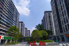 杭州一小区内，280棵树不翼而飞？真相来了图片