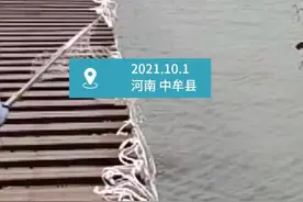河南一景区水上吊桥护栏突然断裂有人落水 当地回应：无人员受伤视频封面