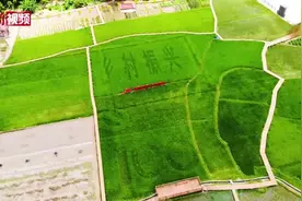 福建永泰坵演村美景入画 打造乡村振兴示范带视频封面