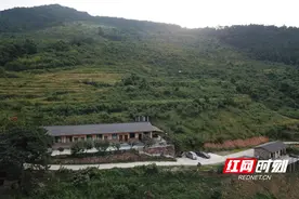 唐晖：从“包工头”到“农场主”图片